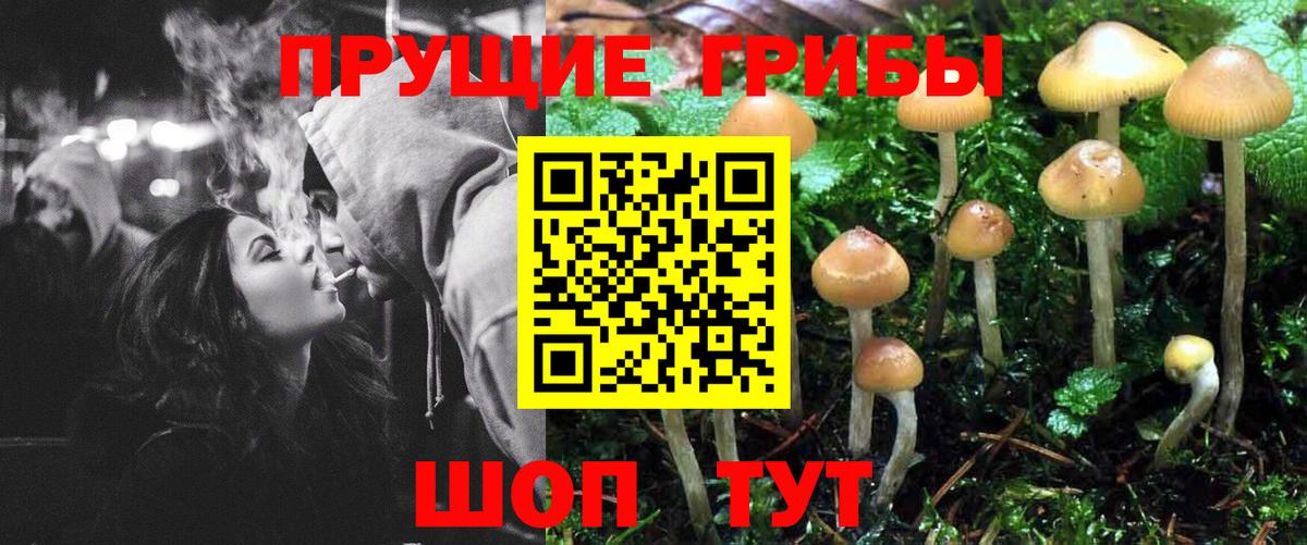 Галлюциногенные грибы прущие грибы Кулебаки
