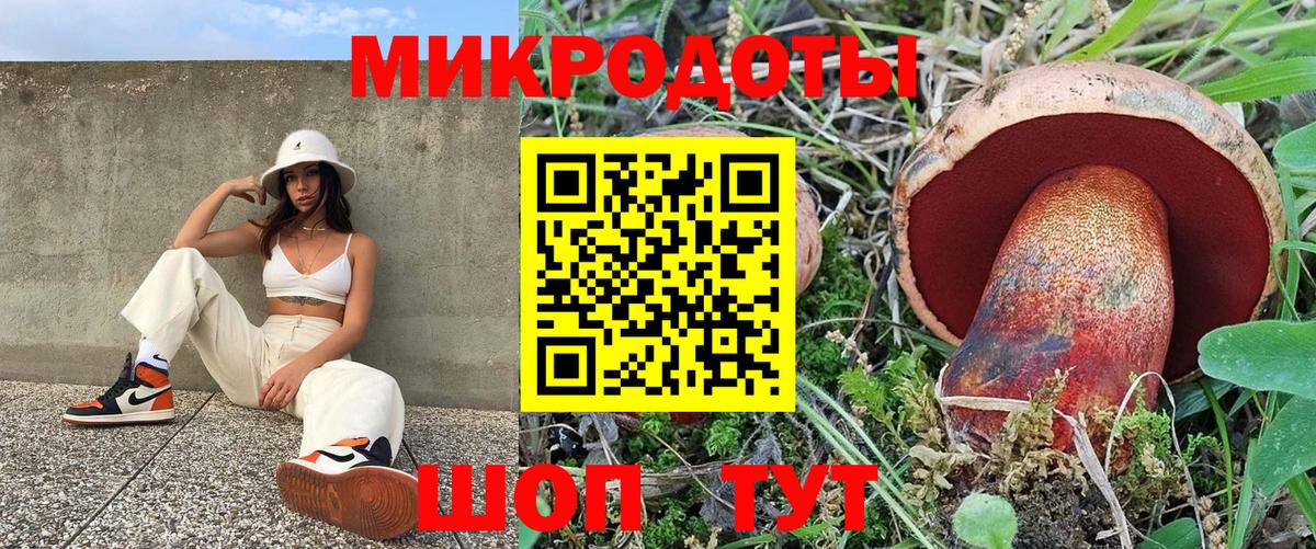 Кулебаки  Галлюциногенные грибы прущие грибы  Вход с VPN 